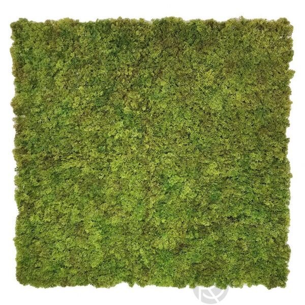 Искусственная панель MOSS by Green Walls